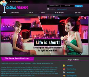 Casual Friends image
